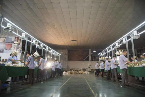 光影新境，幸福為燈 艾摩燈3.0極簡輕奢展廳與大師設計的共鳴